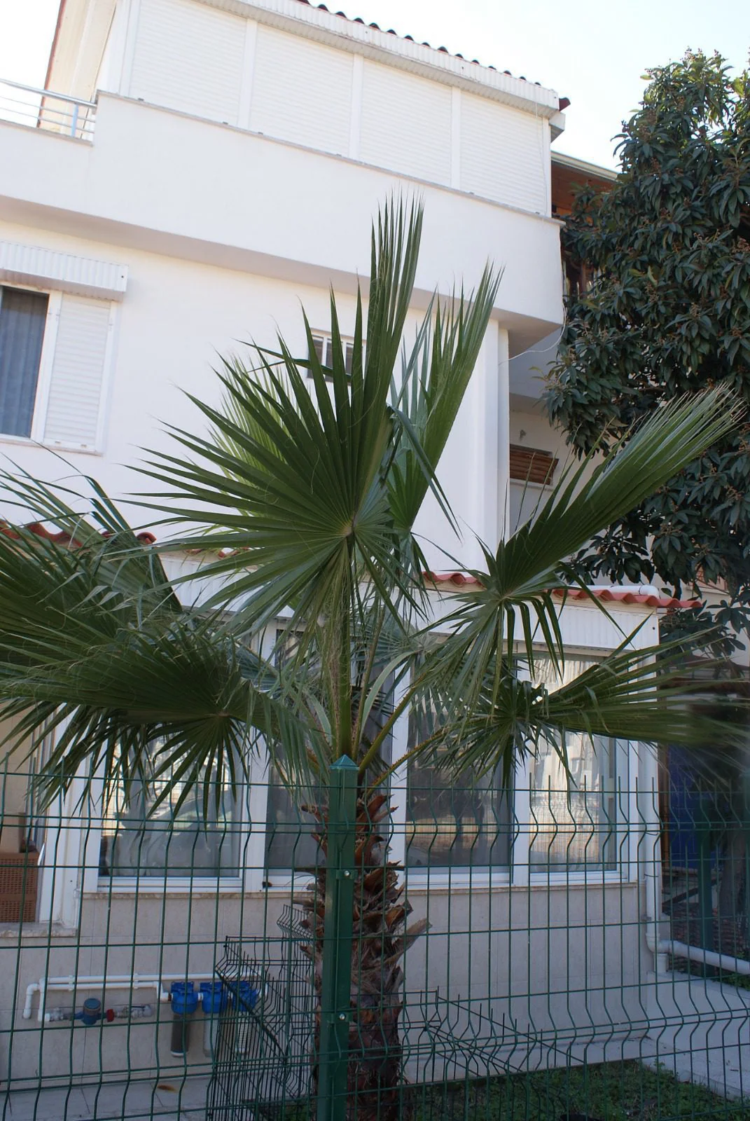 Antalya, villa for sale4