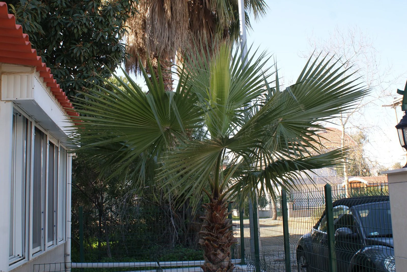 Antalya, villa for sale5