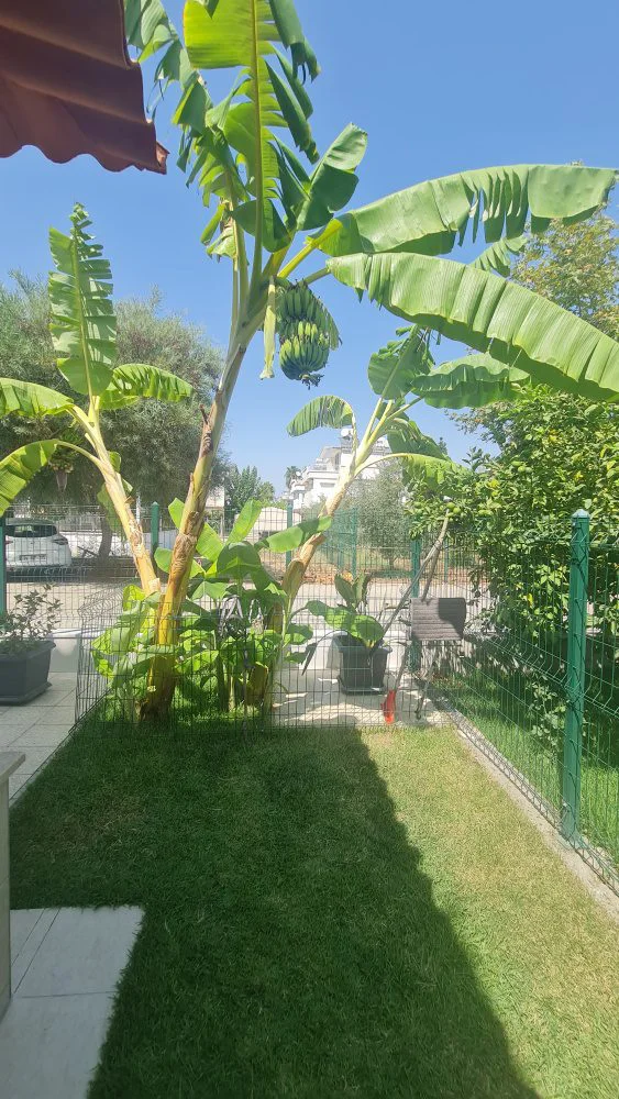 Villa For Sale In Antalya (34)
